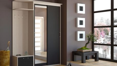 shkaf-kupe-ekonom-klassa